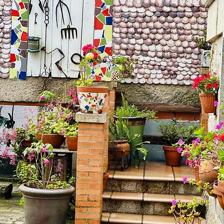 Lar De Susa
